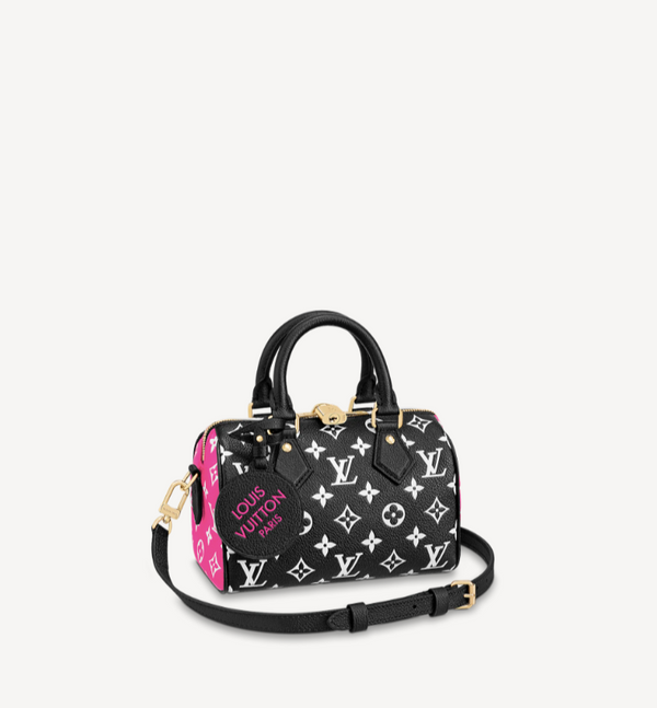 Louis Vuitton Tricolor Spring In The City Speedy 20 Bandouliere Bag W/ –  The Closet