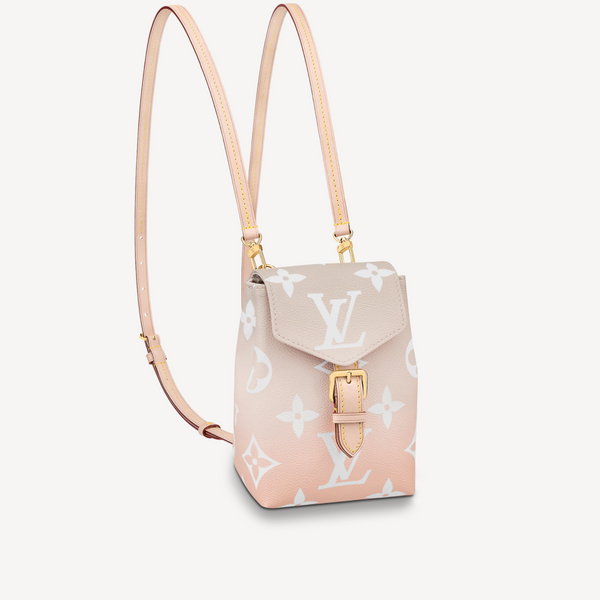 Louis Vuitton, Bags, Louis Vuitton Mini Jet Backpack