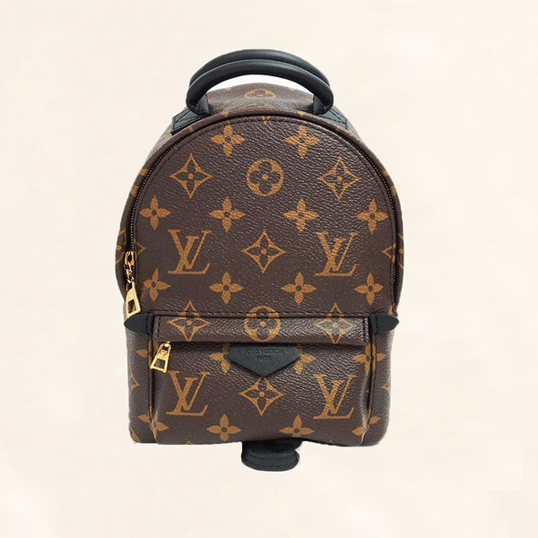 Louis Vuitton Palms Springs Backpack Monogram Canvas Mini - Accesories - A  Rich Boss's Closet