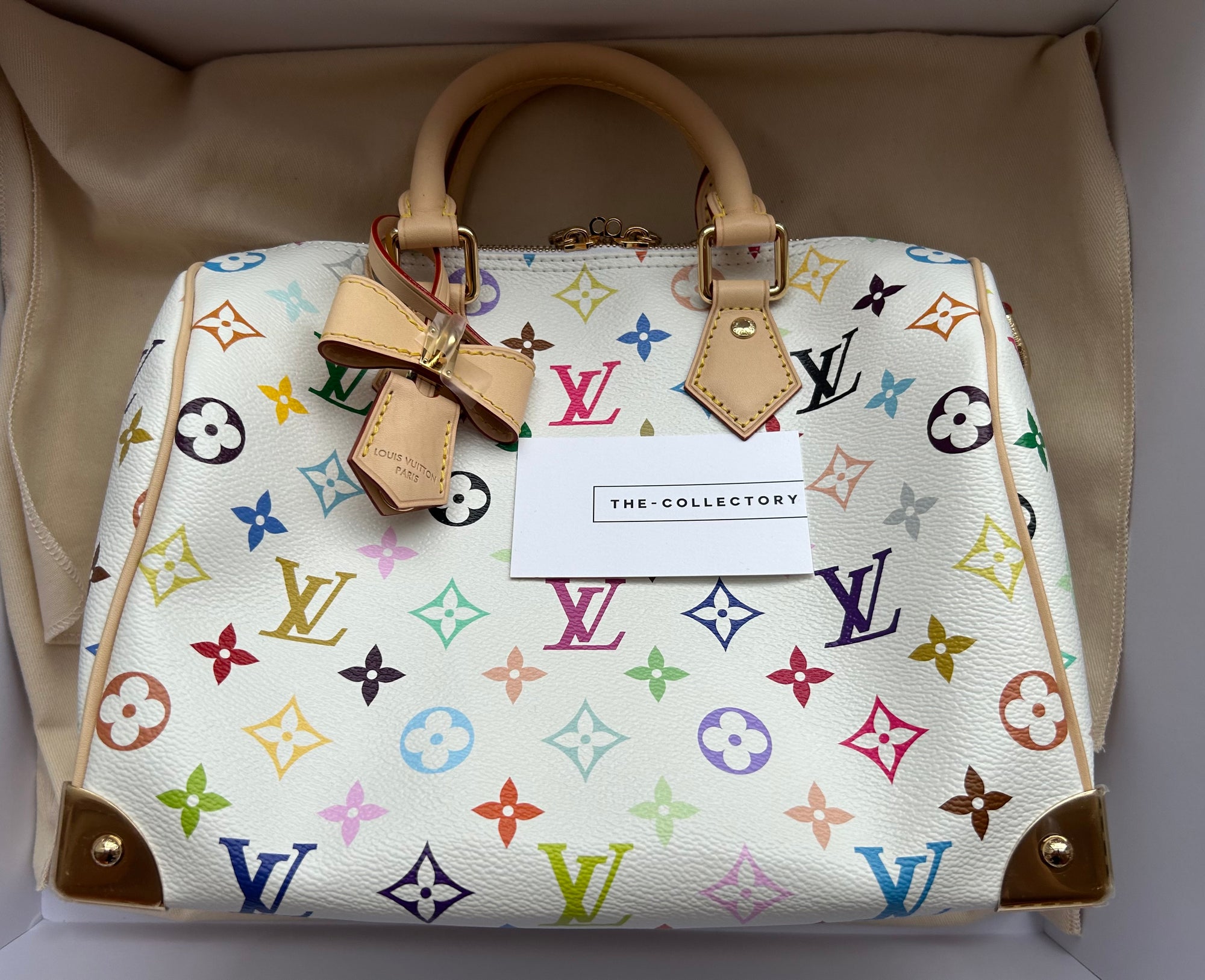 Louis Vuitton LV x TM Speedy Bandouliere 25 M13085