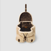 Louis Vuitton Backpack LV SKI M23384
