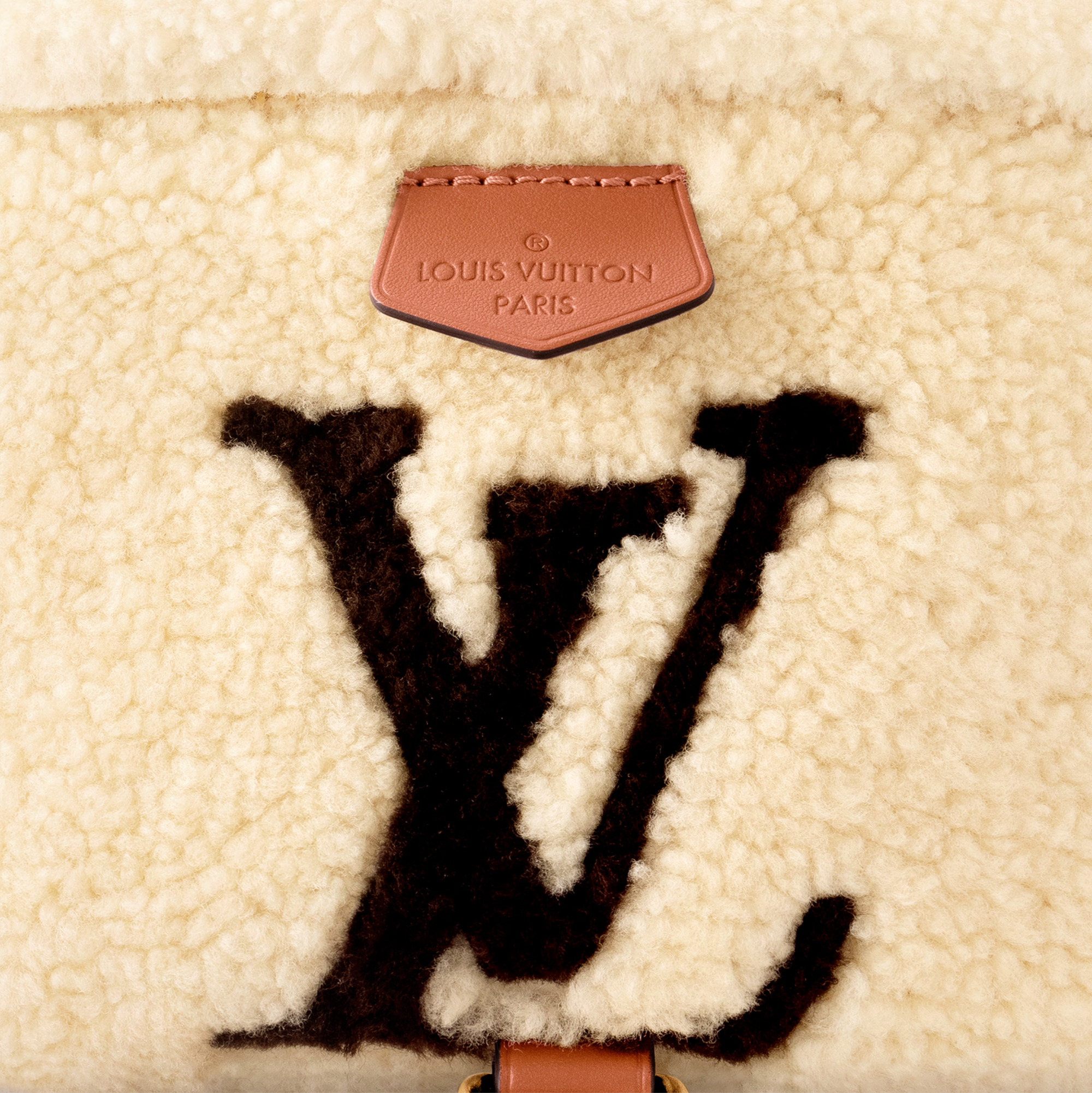 Louis Vuitton Monogram Bumbag LV SKI M23715– TC