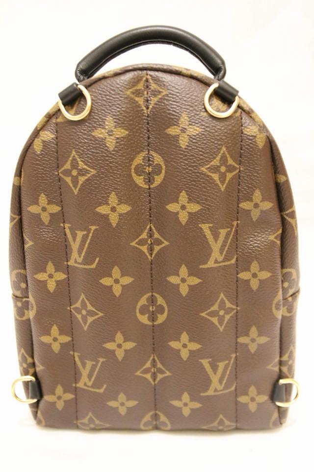 Louis Vuitton | World Tour Monogram Palm Springs Backpack | Mini - The-Collectory