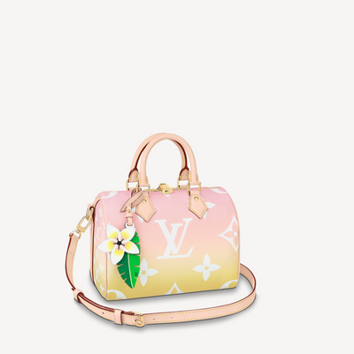 Louis Vuitton Monogram Giant By The Pool Speedy Bandouliere 25
