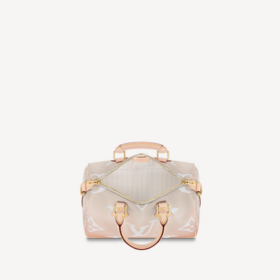 Louis Vuitton Speedy Handbag 254227