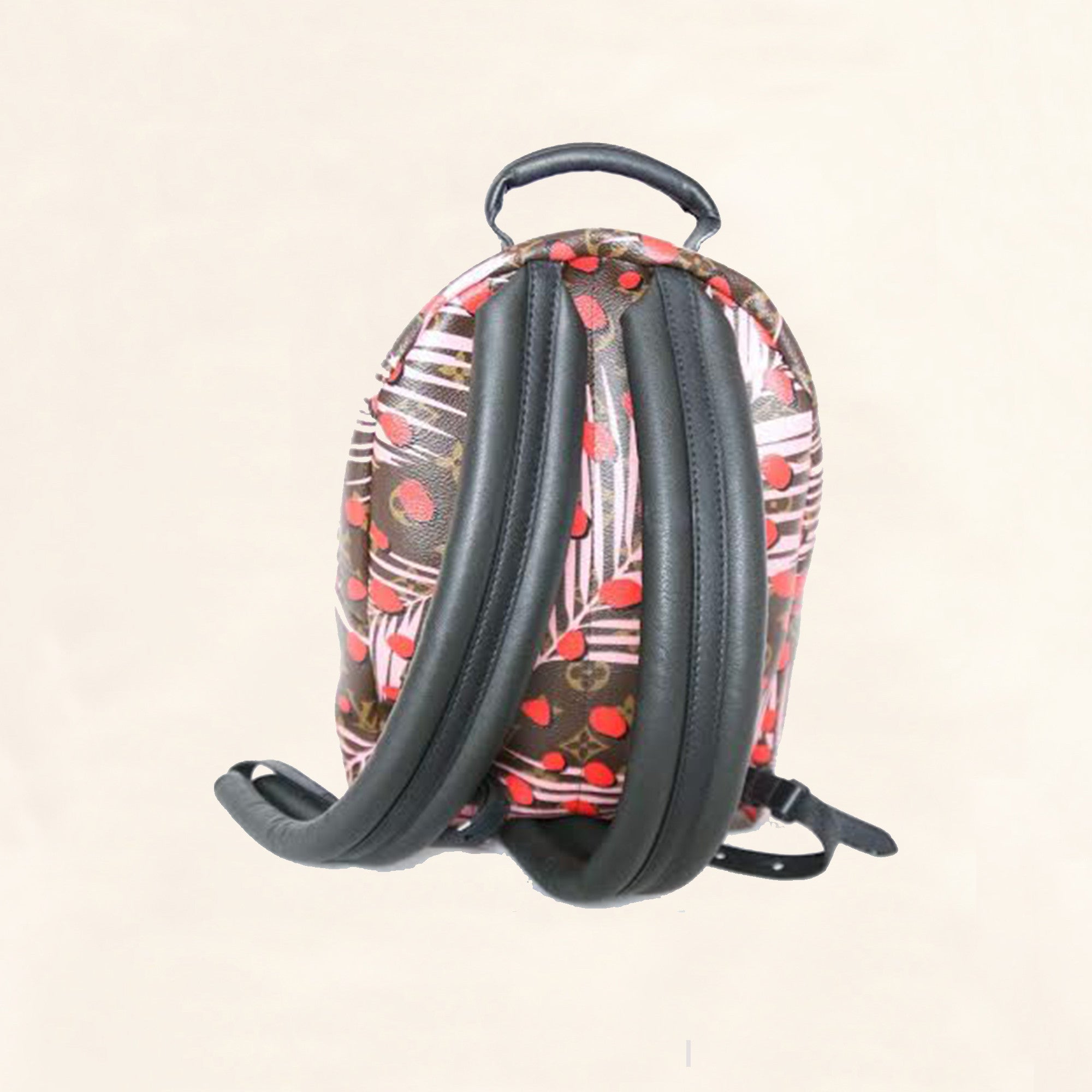 Louis Vuitton Palm Springs Backpack Bag Reference Guide - Spotted