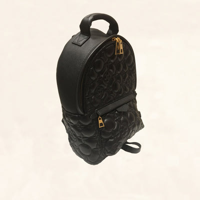 Louis Vuitton | Embroidered Lambskin Palm Springs BackPack | PM - The-Collectory