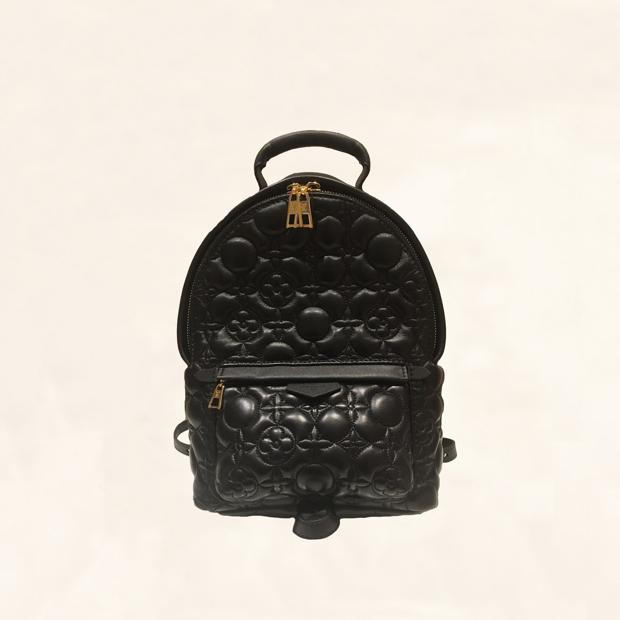 Louis Vuitton, Embroidered Lambskin Palm Springs BackPack