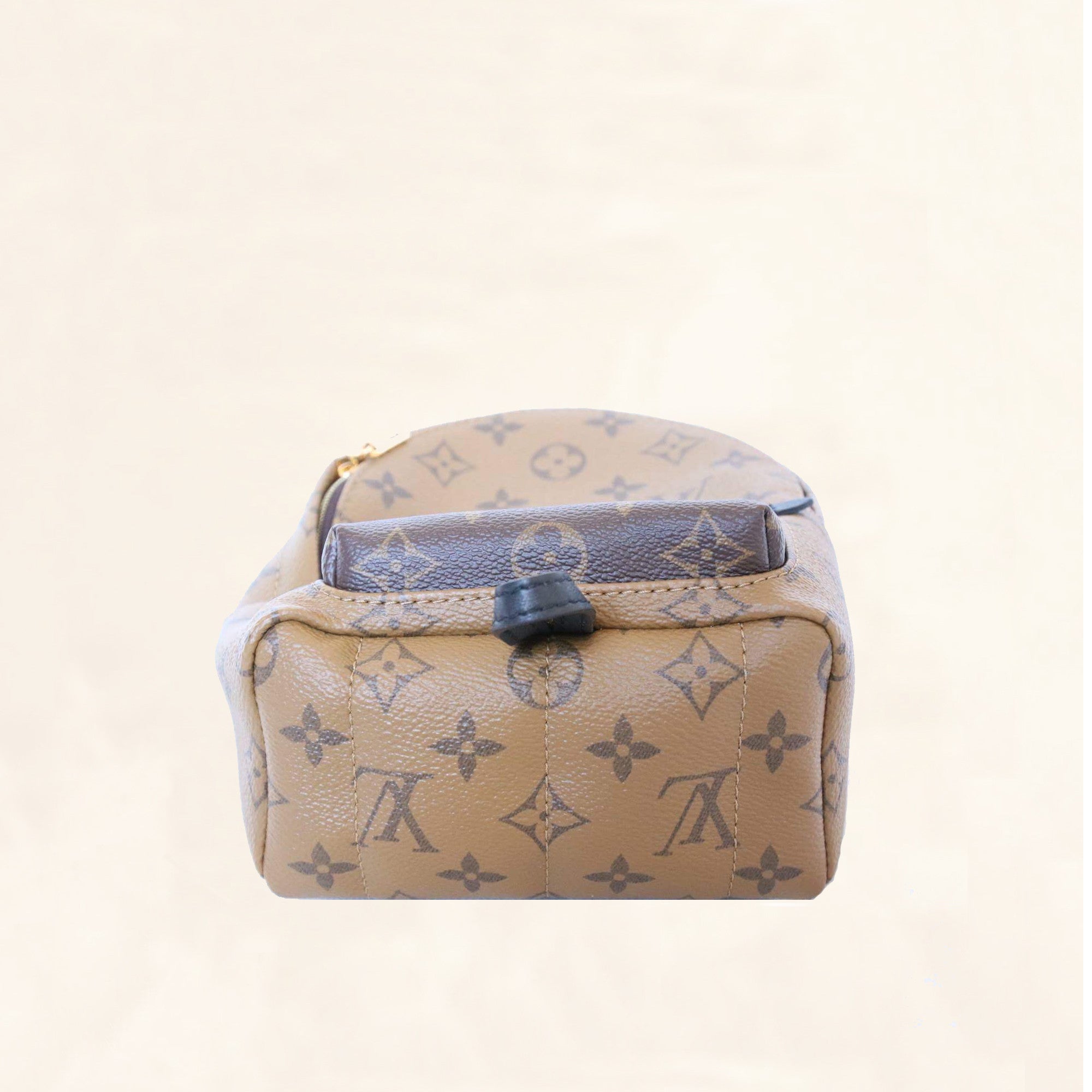 Louis Vuitton Monogram Reverse Canvas Mini Palm Spring Backpack Louis  Vuitton
