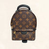 Louis Vuitton Palm Springs Backpack Mini M41562 - The-Collectory 