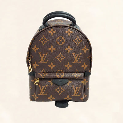 Louis Vuitton Palm Springs Monogram (updated Zipper) mm