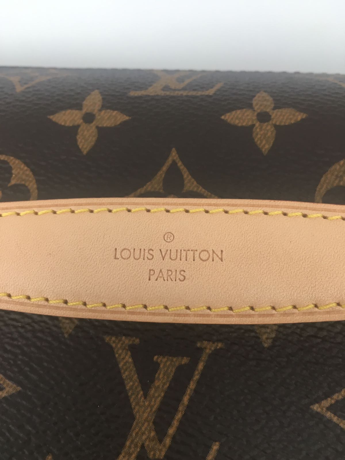 Louis Vuitton MONOGRAM 2021-22FW Bumbag (M43644)