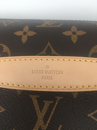M43644 Louis Vuitton Premium Monogram Canvas Bumbag