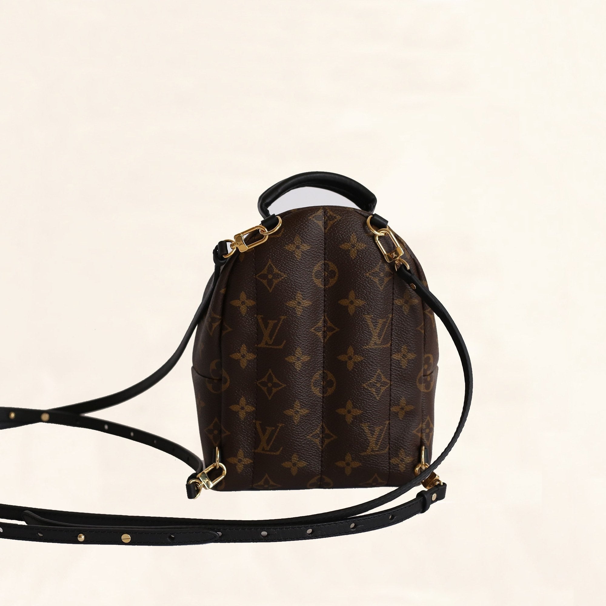 Louis Vuitton Palm Springs Backpack Mini M41562