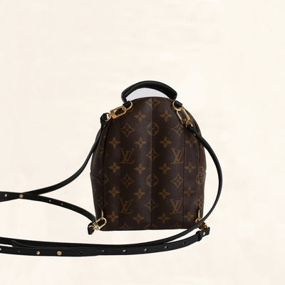 Louis Vuitton Palm Springs Mini Backpack - The Trove