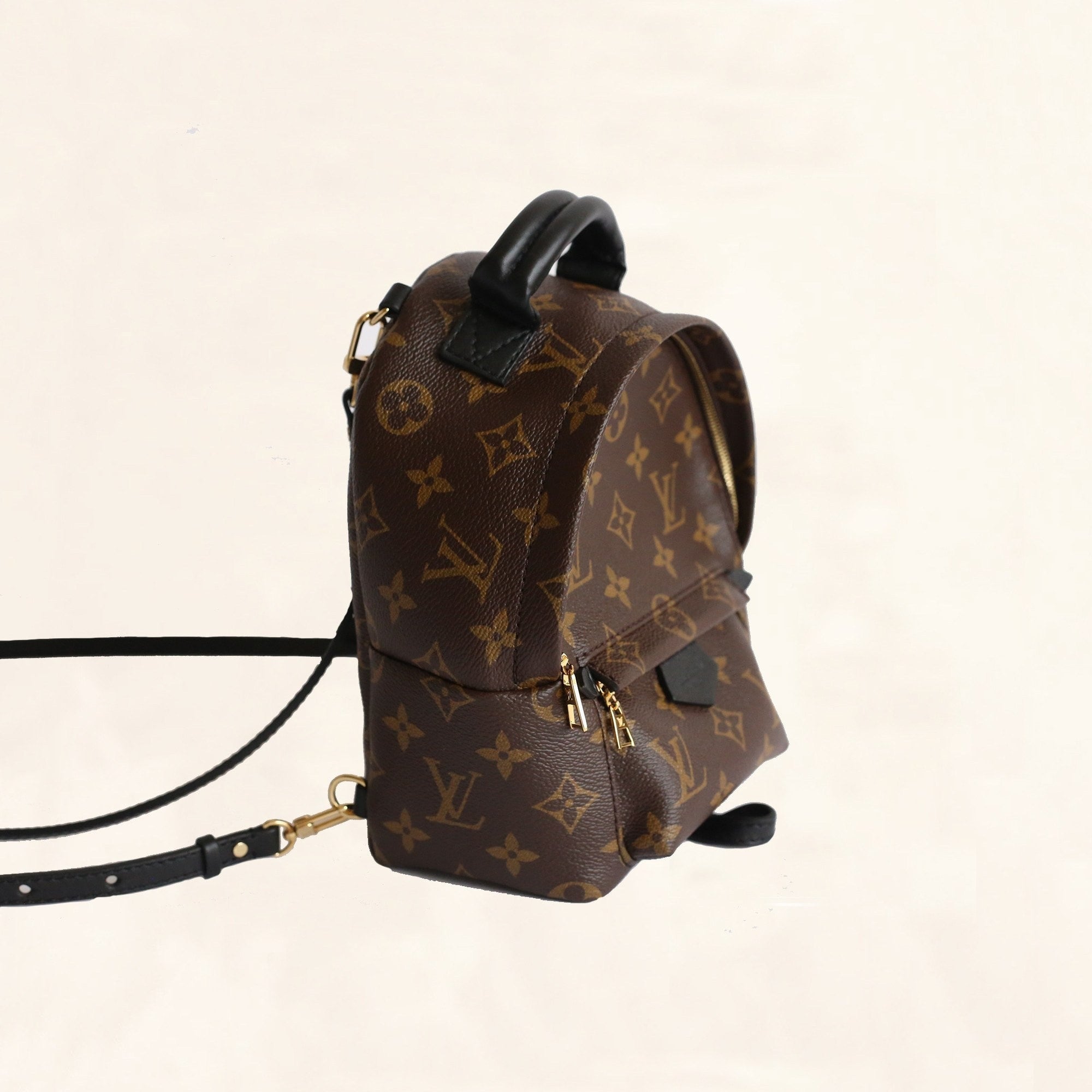 Louis Vuitton Palm Springs Mini Monogram Backpack