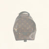 Louis Vuitton | Palm Springs Backpack | Mini - The-Collectory 
