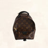 Louis Vuitton Palm Springs Backpack Mini M41562 - The-Collectory