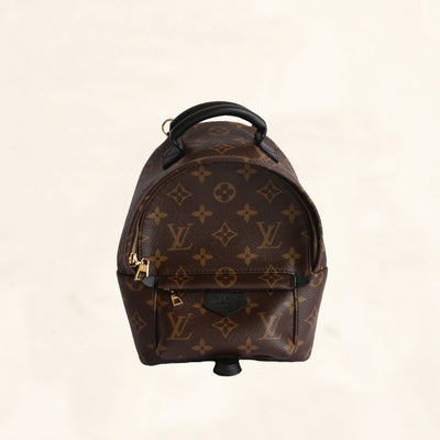 LV Louis Vuitton Mini Backpack - Palm Springs Collection