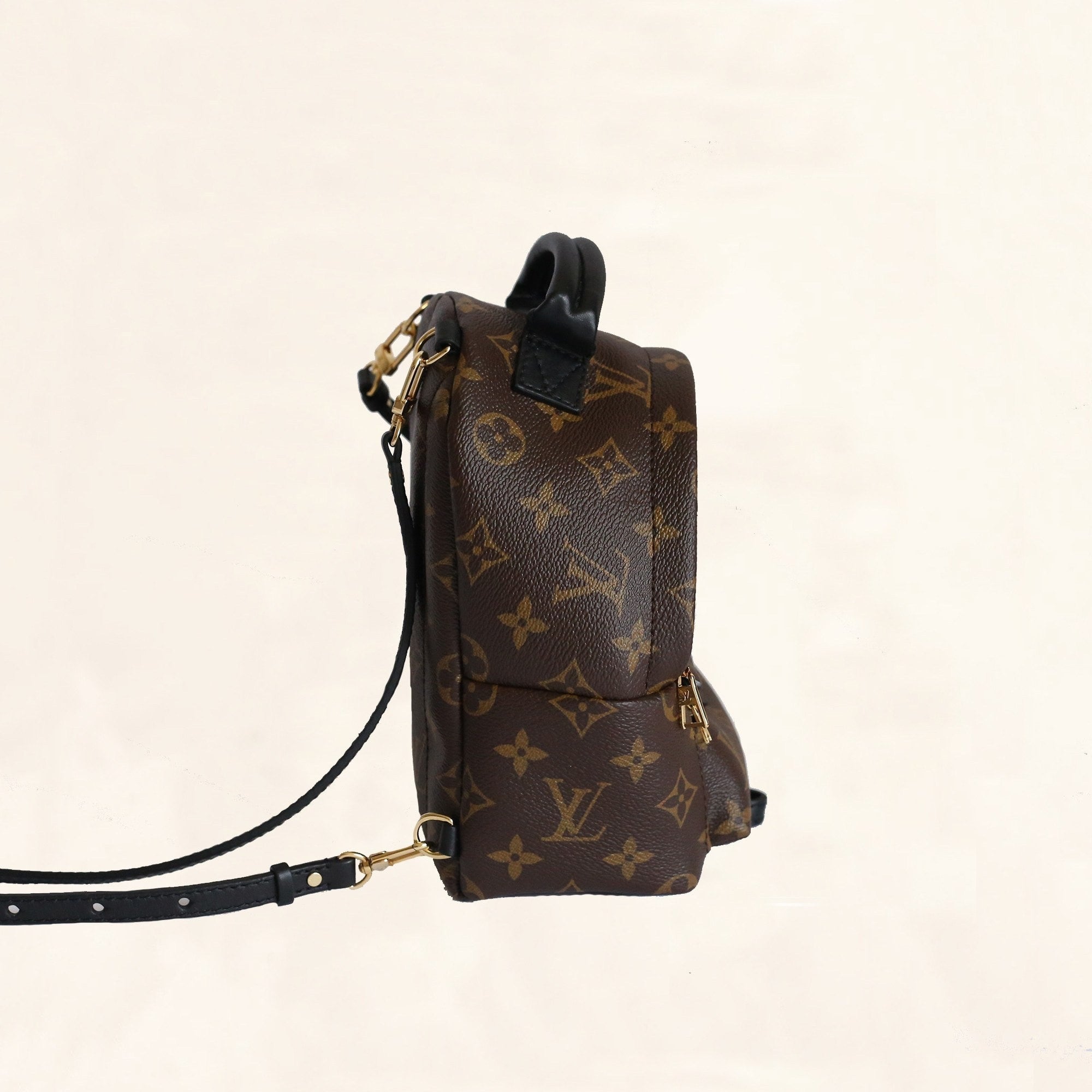 Brand New-Sold Out- Louis Vuitton Palm Springs Mini Backpack My LV