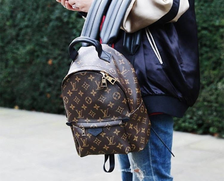 Palm Spring Backpack Louis Vuitton Canvas Palm Springs